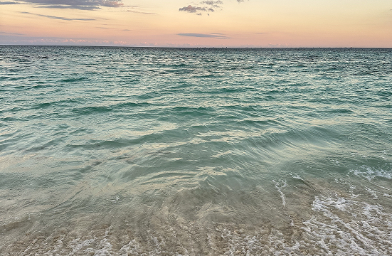 Espacios Comunes Hotel Senses 5ta Avenida